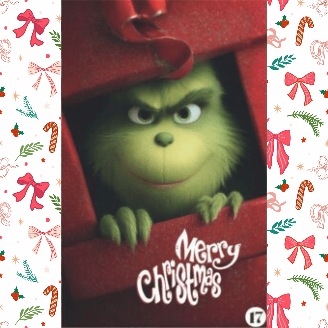 Funda Navideña para Puerta